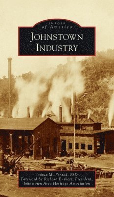 Joshua M Penrod, Joshua M. Penrod, Joshua M. Penrod Phd - Johnstown Industry, Inbunden
