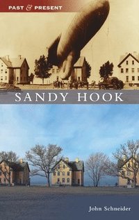 bokomslag Sandy Hook