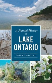 bokomslag Natural History of Lake Ontario