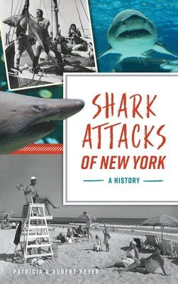 bokomslag Shark Attacks of New York