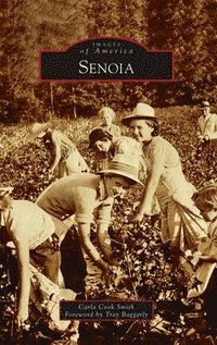 bokomslag Senoia
