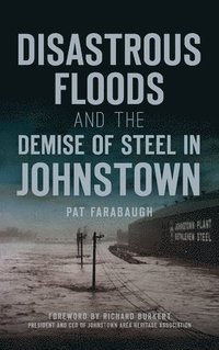 bokomslag Disastrous Floods and the Demise of Steel in Johnstown