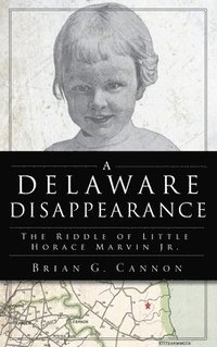 bokomslag Delaware Disappearance