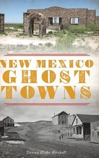 bokomslag New Mexico Ghost Towns