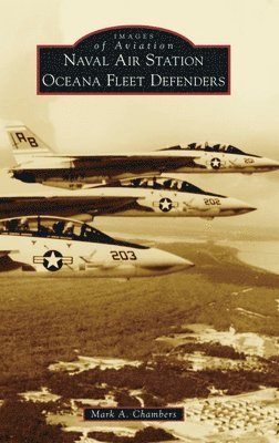 Naval Air Station Oceana Fleet Defenders 1