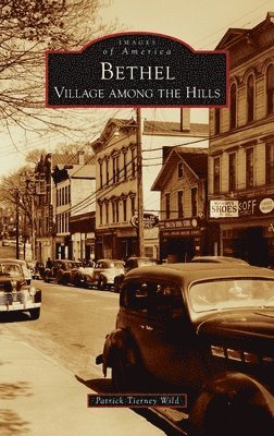 Patrick Tierney Wild - Bethel, Inbunden