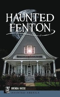 bokomslag Haunted Fenton