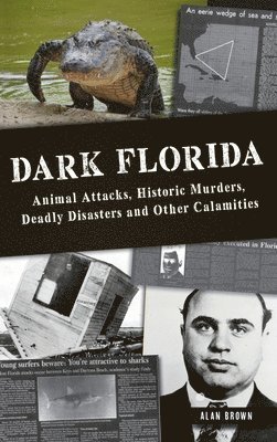 Alan N Brown - Dark Florida, Inbunden