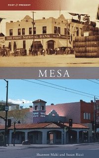 bokomslag Mesa