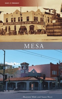 Mesa 1