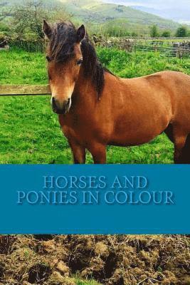 bokomslag Horses and Ponies in Colour: Full colour photographs of various breeds of horse and pony