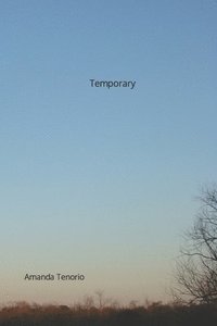 bokomslag Temporary