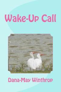 bokomslag A Wake Up Call