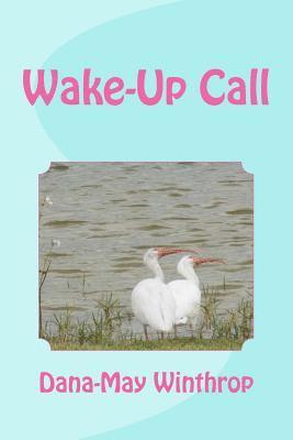 A Wake Up Call 1