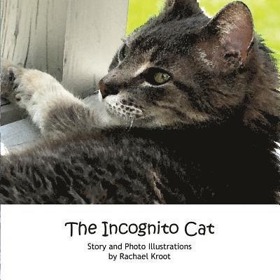 The Incognito Cat 1