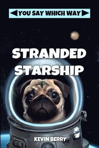 bokomslag Stranded Starship