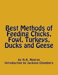 bokomslag Best Methods of Feeding Chicks, Fowl, Turkeys, Ducks and Geese