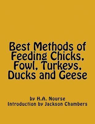 Best Methods of Feeding Chicks, Fowl, Turkeys, Ducks and Geese 1