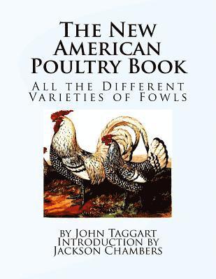 bokomslag The New American Poultry Book: All the Different Varieties of Fowls