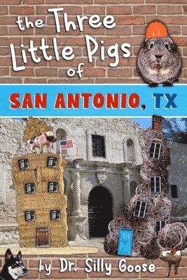 Silly Goose, Dr. Silly Goose - Three Little Pigs of San Antonio, TX, Häftad