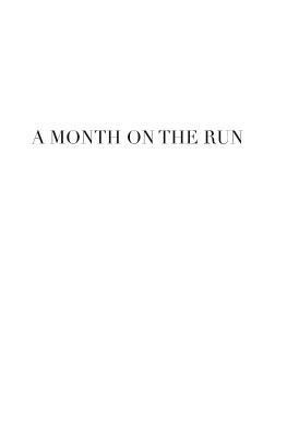 bokomslag A Month on the Run