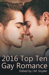 bokomslag 2016 Top Ten Gay Romance