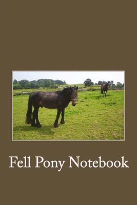 My Fell Pony 1