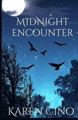 Midnight Encounter 1