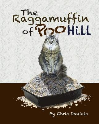 bokomslag The Raggamuffin of Poo Hill