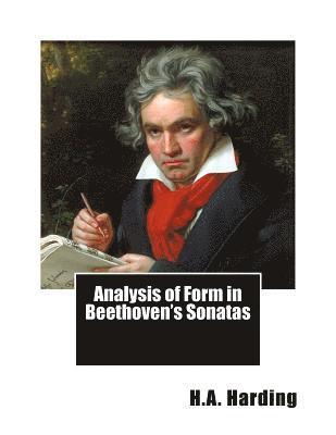 bokomslag Analysis of Form in Beethoven's Sonatas