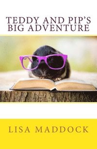 bokomslag Teddy and Pip's Big Adventure: A Teddy and Pip Story