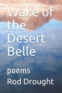 bokomslag Wake of the Desert Belle