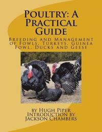 bokomslag Poultry: A Practical Guide: Breeding and Management of Fowls, Turkeys, Guinea Fowl, Ducks and Geese
