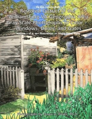 Dawn D Boyer, Dawn D. Boyer, Dawn D. Boyer Ph.D. - Big Kids Coloring Book, Häftad