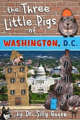 bokomslag The Three Little Pigs of Washington, D.C.