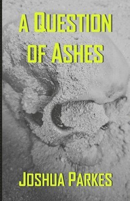bokomslag Question of Ashes