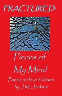 bokomslag Fractured: Pieces of My Mind