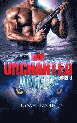 MM: Uncharted Waters 1