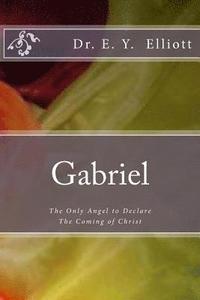 bokomslag Gabriel: The Only Angel to Declare The Coming of Christ