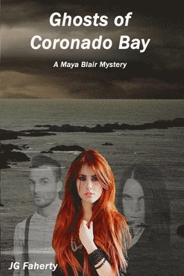 Jg Faherty, JG Faherty - Ghosts of Coronado Bay, Häftad