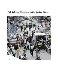 bokomslag Public Mass Shootings in the United States-Stat-1