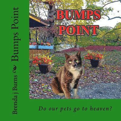 Brenda J. Burns - Bumps Point: Do our pets go to heaven?, Häftad