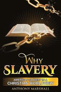 bokomslag Why Slavery: American Slavery In A Christian Worldview