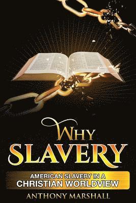 bokomslag Why Slavery: American Slavery In A Christian Worldview