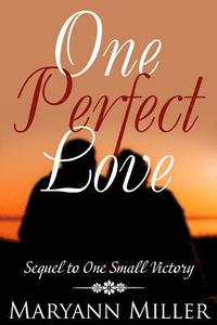 bokomslag One Perfect Love: Sequel to One Small Victory