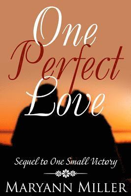bokomslag One Perfect Love: Sequel to One Small Victory