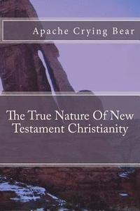 bokomslag The True Nature of New Testament Christianity