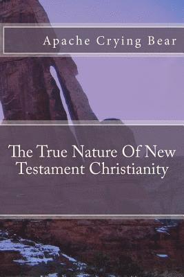 bokomslag The True Nature of New Testament Christianity