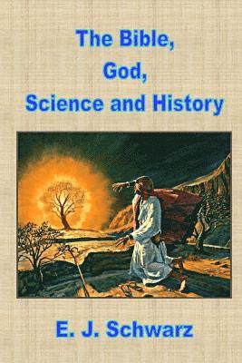 bokomslag The Bible, God, Science and History