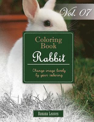 Banana Leaves - White Rabbits: Gray Scale Photo Adult Coloring Book, Mind Relaxation Stress Relief Coloring Book Vol7: Series of coloring book for ad, Häftad